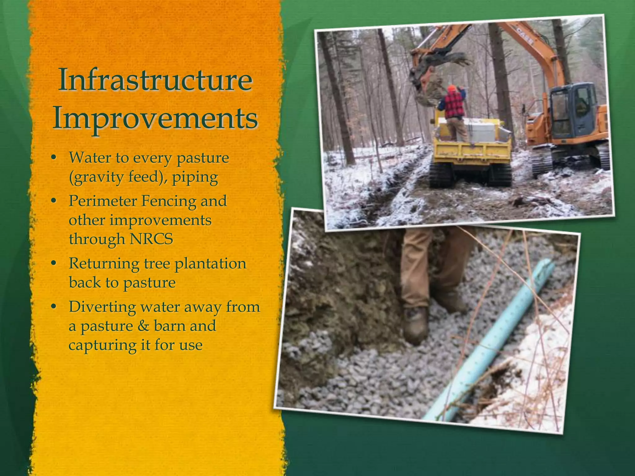 Infrastructure
Improvements
• Water to every pasture
  (gravity feed), piping
• Perimeter Fencing and
  other improvements
  through NRCS
• Returning tree plantation
  back to pasture
• Diverting water away from
  a pasture & barn and
  capturing it for use
 