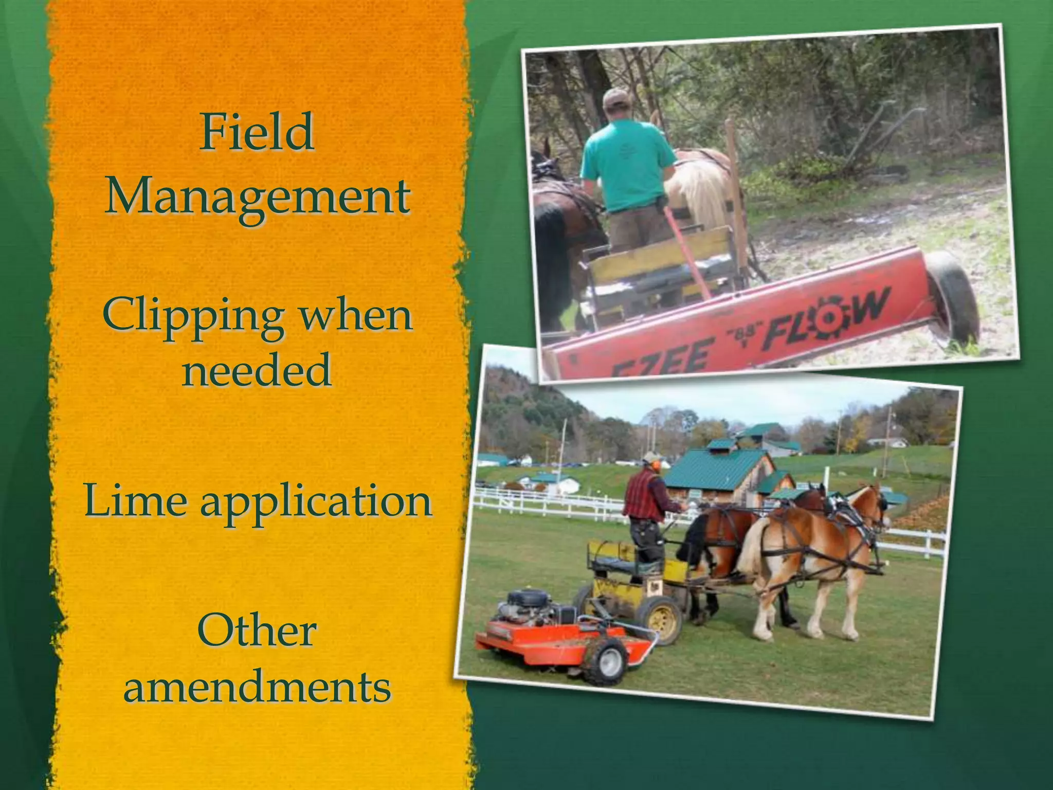 Field
Management

Clipping when
    needed

Lime application

   Other
 amendments
 