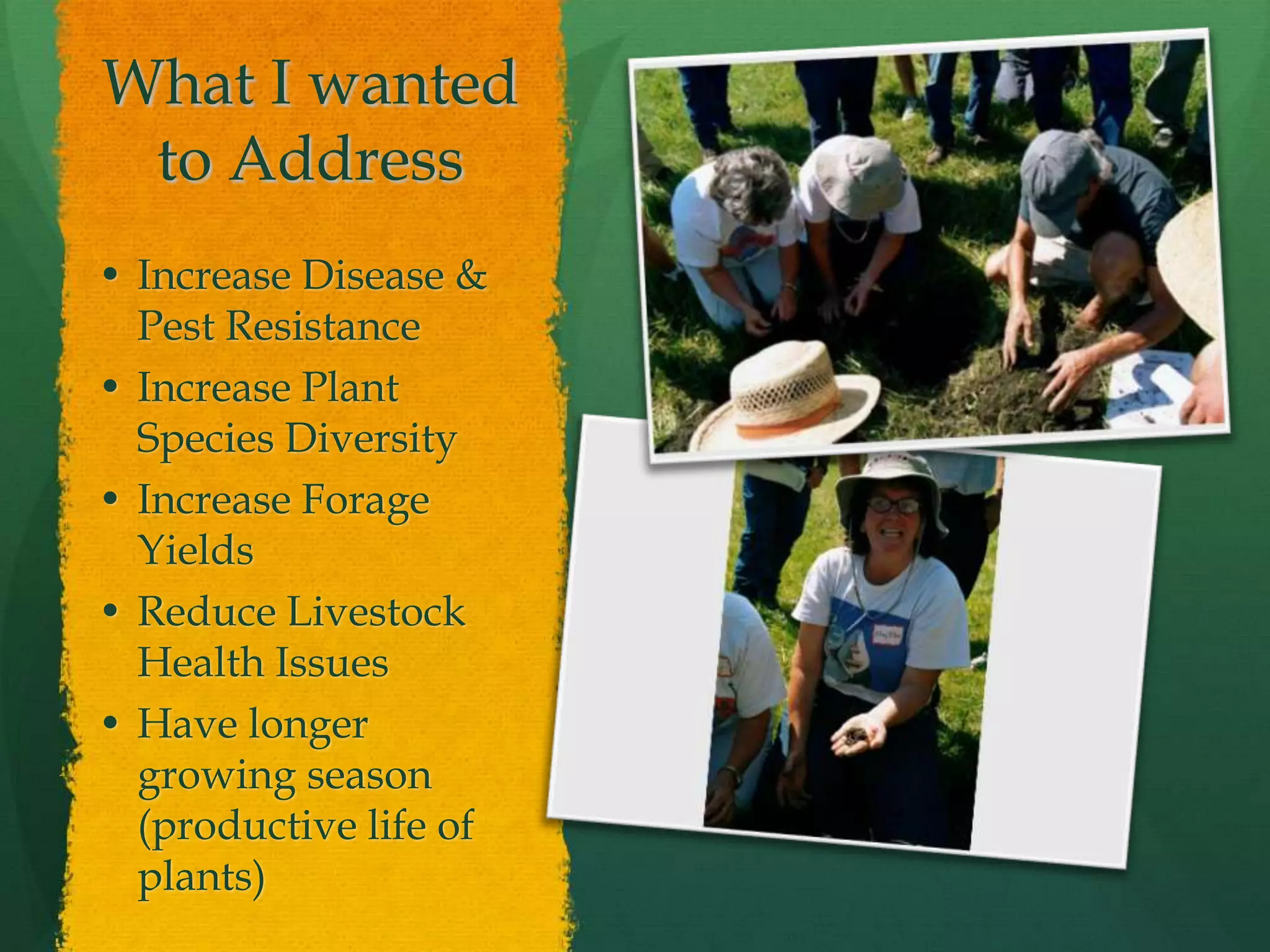 What I wanted
 to Address
• Increase Disease &
  Pest Resistance
• Increase Plant
  Species Diversity
• Increase Forage
  Yields
• Reduce Livestock
  Health Issues
• Have longer
  growing season
  (productive life of
  plants)
 