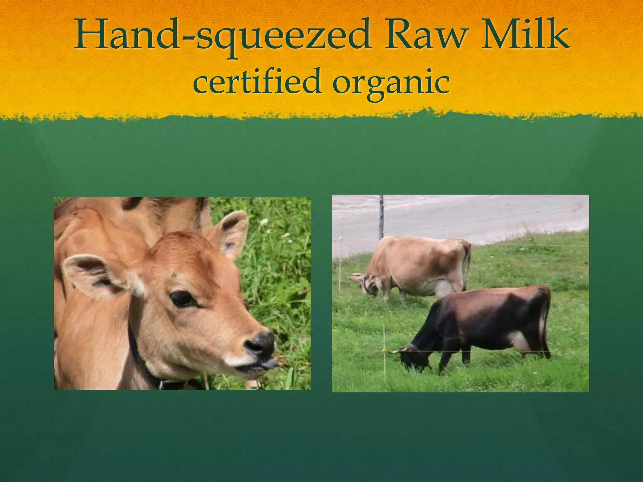 Hand-squeezed Raw Milk
     certified organic
 