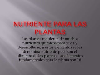 Las plantas requieren de muchos
   nutrientes químicos para vivir y
desarrollarse, a estos elementos se les
    denomina nutriente pues son el
alimento de las plantas. Los elementos
 fundamentales para la planta son 16
 