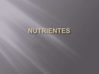 nutrientes 