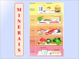 M I N E R A I S 