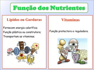 Lípidos ou Gorduras Fornecem energia calorífica; Função plástica ou construtora; Transportam as vitaminas . Vitaminas Função protectora e reguladora. 
