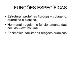 FUNÇÕES ESPECÍFICAS Estrutural: proteínas fibrosas – colágeno, queratina e elastina. Hormonal: regulam o funcionamento das células – ex: insulina. Enzimática: facilitar as reações químicas. 