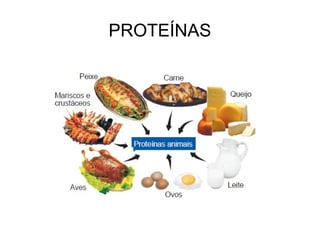 PROTEÍNAS 
