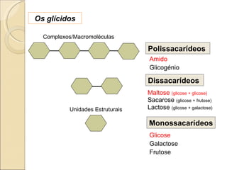 Polissacarídeos  Dissacarídeos  Monossacarídeos Maltose  (glicose + glicose) Sacarose  (glicose + frutose) Lactose  (glicose + galactose) Glicose Galactose Frutose Os glícidos Amido Glicogénio Complexos/Macromoléculas Unidades Estruturais 