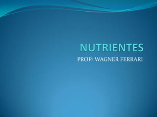 NUTRIENTES PROFº WAGNER FERRARI 