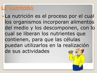 La nutrición
 Lanutrición es el proceso por el cual
 los organismos incorporan alimentos
 del medio y los descomponen, con lo
 cual se liberan los nutrientes que
 contienen, para que las células
 puedan utilizarlos en la realización
 de sus actividades
 