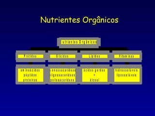 Nutrientes Orgânicos 