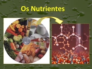 Os Nutrientes

 