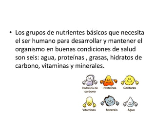 • Los grupos de nutrientes básicos que necesita
el ser humano para desarrollar y mantener el
organismo en buenas condiciones de salud
son seis: agua, proteínas , grasas, hidratos de
carbono, vitaminas y minerales.
 