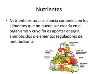 Nutrientes
• Nutriente es toda sustancia contenida en los
alimentos que no puede ser creada en el
organismo y cuyo fin es aportar energía,
aminoácidos o elementos reguladores del
metabolismo.
 