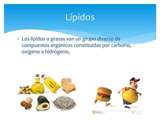  Los lípidos o grasas son un grupo diverso de
compuestos orgánicos constituidas por carbono,
oxígeno e hidrógeno,
Lípidos
 