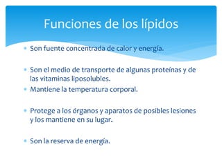  Son fuente concentrada de calor y energía.
 Son el medio de transporte de algunas proteínas y de
las vitaminas liposolubles.
 Mantiene la temperatura corporal.
 Protege a los órganos y aparatos de posibles lesiones
y los mantiene en su lugar.
 Son la reserva de energía.
Funciones de los lípidos
 