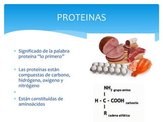 PROTEINAS
 Significado de la palabra
proteína “lo primero”
 Las proteínas están
compuestas de carbono,
hidrógeno, oxígeno y
nitrógeno

 Están constituidas de
aminoácidos
 