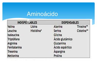 Aminoácido
s
 