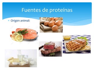 Fuentes de proteínas
 Origen animal:
 