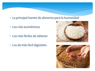  La principal fuente de alimento para la humanidad
 Los más económicos
 Los más fáciles de obtener
 Los de más fácil digestión.
 