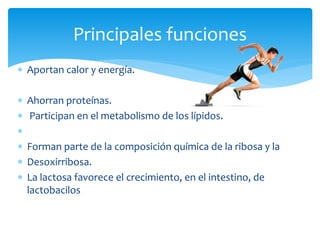  Aportan calor y energía.
 Ahorran proteínas.
 Participan en el metabolismo de los lípidos.

 Forman parte de la composición química de la ribosa y la
 Desoxirribosa.
 La lactosa favorece el crecimiento, en el intestino, de
lactobacilos
Principales funciones
 