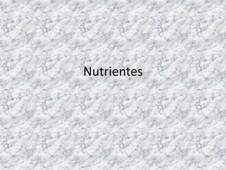 Nutrientes
 