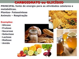 CARBOIDRATO ou GLICÍDIOCARBOIDRATO ou GLICÍDIO
PRINCIPAL fonte de energia para as atividades celulares e
metabólicas.
Plantas- Fotossíntese
Animais – Respiração
Exemplos:
Glicose
Frutose
Sacarose
Galactose
Lactose
Maltose
Amido
 