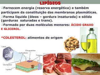 LIPÍDIOSLIPÍDIOS
Fornecem energia (reserva energética) e também
participam da constituição das membranas plasmáticas.
Forma líquida (óleos – gordura insaturada) e sólida
(gorduras saturadas e trans).
Formado por duas moléculas menores: ÁCIDO GRAXO
E GLICEROL.
*COLESTEROL: alimentos de origem animal;
 
