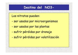 Destino del NO3-

Los nitratos pueden:
- ser usados por microorganismos
- ser usados por las plantas
- sufrir pérdidas por drenaje
- sufrir pérdidas por volatilización
 