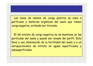 Los iones de amonio de carga positiva se unen a
partículas y materias orgánicas del suelo que tienen
carga negativa, evitando ser lixiviado.


   El ión nitrato de carga negativa no se mantiene en las
partículas del suelo y puede ser lavado del perfil. Esto
lleva a una disminución de la fertilidad del suelo y a un
enriquecimiento de nitrato en aguas superficiales y
subsuperficiales.
 
