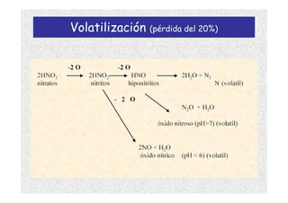Volatilización (pérdida del 20%)
 