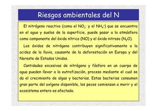 Riesgos ambientales del N
  El nitrógeno reactivo (como el NO3- y el NH4+) que se encuentra
en el agua y suelos de la superficie, puede pasar a la atmósfera
como componente del óxido nítrico (NO) y el óxido nitroso (N2O).
  Los óxidos de nitrógeno contribuyen significativamente a la
acidez de la lluvia, causante de la deforestación en Europa y del
Noreste de Estados Unidos.
  Cantidades excesivas de nitrógeno y fósforo en un cuerpo de
agua pueden llevar a la eutrofización, proceso mediante el cual se
da el crecimiento de algas y bacterias. Estas bacterias consumen
gran parte del oxígeno disponible, los peces comienzan a morir y el
ecosistema entero es afectado.
 