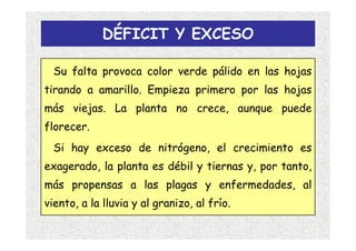 DÉFICIT Y EXCESO

  Su falta provoca color verde pálido en las hojas
tirando a amarillo. Empieza primero por las hojas
más viejas. La planta no crece, aunque puede
florecer.
  Si hay exceso de nitrógeno, el crecimiento es
exagerado, la planta es débil y tiernas y, por tanto,
más propensas a las plagas y enfermedades, al
viento, a la lluvia y al granizo, al frío.
 