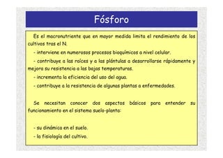Fósforo
  Es el macronutriente que en mayor medida limita el rendimiento de los
cultivos tras el N.
  - interviene en numerosos procesos bioquímicos a nivel celular.
  - contribuye a las raíces y a las plántulas a desarrollarse rápidamente y
mejora su resistencia a las bajas temperaturas.
  - incrementa la eficiencia del uso del agua.
  - contribuye a la resistencia de algunas plantas a enfermedades.


  Se   necesitan      conocer    dos   aspectos   básicos   para   entender   su
funcionamiento en el sistema suelo-planta:


  - su dinámica en el suelo.
  - la fisiología del cultivo.
 