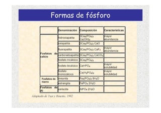 Formas de fósforo
 