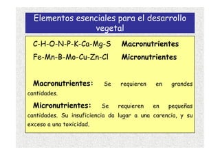 Elementos esenciales para el desarrollo
                vegetal
  C-H-O-N-P-K-Ca-Mg-S            Macronutrientes
  Fe-Mn-B-Mo-Cu-Zn-Cl            Micronutrientes


  Macronutrientes:        Se    requieren    en    grandes
cantidades.

  Micronutrientes:        Se   requieren    en    pequeñas
cantidades. Su insuficiencia da lugar a una carencia, y su
exceso a una toxicidad.
 