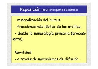 Reposición (equilibrio químico dinámico)

 - mineralización del humus.
 - fracciones más lábiles de las arcillas.
 - desde la mineralogía primaria (proceso
lento).


 Movilidad:
 - a través de mecanismos de difusión.
 