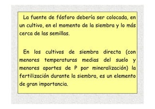 La fuente de fósforo debería ser colocada, en
un cultivo, en el momento de la siembra y lo más
cerca de las semillas.


 En los cultivos de siembra directa (con
menores temperaturas medias del suelo y
menores aportes de P por mineralización) la
fertilización durante la siembra, es un elemento
de gran importancia.
 