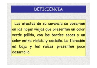 DEFICIENCIA


 Los efectos de su carencia se observan
en las hojas viejas que presentan un color
verde pálido, con los bordes secos y un
color entre violeta y castaño. La floración
es baja y las raíces presentan poco
desarrollo.
 