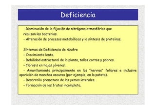 Deficiencia
  - Disminución de la fijación de nitrógeno atmosférico que
  realizan las bacterias.
  - Alteración de procesos metabólicos y la síntesis de proteínas.


  Síntomas de Deficiencia de Azufre
  - Crecimiento lento.
  - Debilidad estructural de la planta, tallos cortos y pobres.
  - Clorosis en hojas jóvenes.
  - Amarillamiento principalmente en los "nervios" foliares e inclusive
aparición de manchas oscuras (por ejemplo, en la patata).
  - Desarrollo prematuro de las yemas laterales.
  - Formación de los frutos incompleta.
 