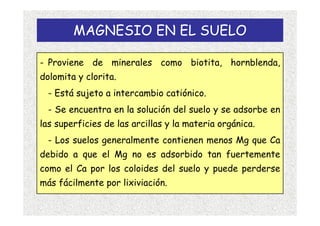 MAGNESIO EN EL SUELO

- Proviene de minerales como biotita, hornblenda,
dolomita y clorita.
  - Está sujeto a intercambio catiónico.
  - Se encuentra en la solución del suelo y se adsorbe en
las superficies de las arcillas y la materia orgánica.
  - Los suelos generalmente contienen menos Mg que Ca
debido a que el Mg no es adsorbido tan fuertemente
como el Ca por los coloides del suelo y puede perderse
más fácilmente por lixiviación.
 