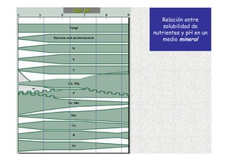 Soil pH
             Relación entre
              solubilidad de
          nutrientes y pH en un
              medio mineral
 