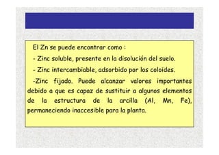 El Zn se puede encontrar como :
 - Zinc soluble, presente en la disolución del suelo.
 - Zinc intercambiable, adsorbido por los coloides.
 -Zinc fijado. Puede alcanzar valores importantes
debido a que es capaz de sustituir a algunos elementos
de   la   estructura   de   la   arcilla   (Al,   Mn,   Fe),
permaneciendo inaccesible para la planta.
 