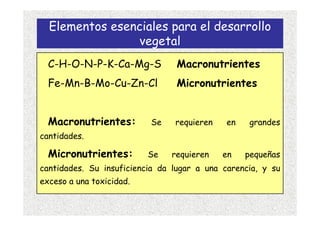 Elementos esenciales para el desarrollo
                vegetal
  C-H-O-N-P-K-Ca-Mg-S            Macronutrientes
  Fe-Mn-B...
