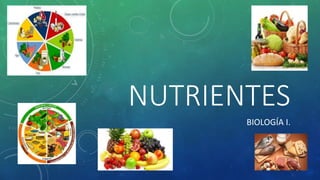 Nutrientes  biología