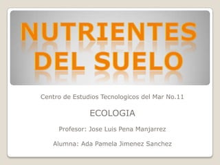 Centro de Estudios Tecnologicos del Mar No.11

               ECOLOGIA
     Profesor: Jose Luis Pena Manjarrez

   Alumna: Ada Pamela Jimenez Sanchez
 