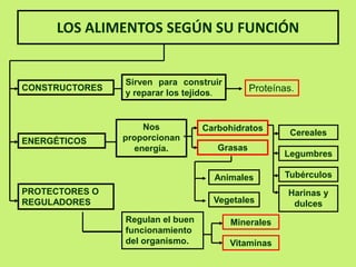 LOS ALIMENTOS SEGÚN SU FUNCIÓN
CONSTRUCTORES
ENERGÉTICOS
PROTECTORES O
REGULADORES
Sirven para construir
y reparar los tejidos.
Nos
proporcionan
energía.
Carbohidratos
Grasas
Cereales
Legumbres
Tubérculos
Harinas y
dulces
Animales
Vegetales
Proteínas.
Minerales
Vitaminas
Regulan el buen
funcionamiento
del organismo.
 