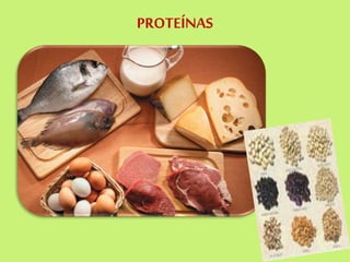 PROTEÍNAS
 