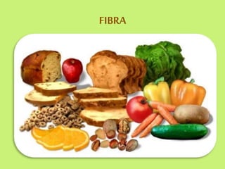 FIBRA
 