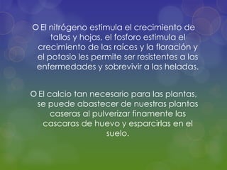  El nitrógeno estimula el crecimiento de
     tallos y hojas, el fosforo estimula el
 crecimiento de las raíces y la floración y
 el potasio les permite ser resistentes a las
 enfermedades y sobrevivir a las heladas.


 El calcio tan necesario para las plantas,
 se puede abastecer de nuestras plantas
      caseras al pulverizar finamente las
   cascaras de huevo y esparcirlas en el
                    suelo.
 