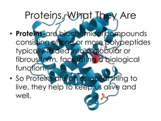 Proteins, What They Are
• Proteins-are biochemical compounds
  consisting of one or more polypeptides
  typically folded into a globular or
  fibrous form, facilitating a biological
  function.
• So Proteins are an essential thing to
  live, they help to keep us alive and
  well.
 